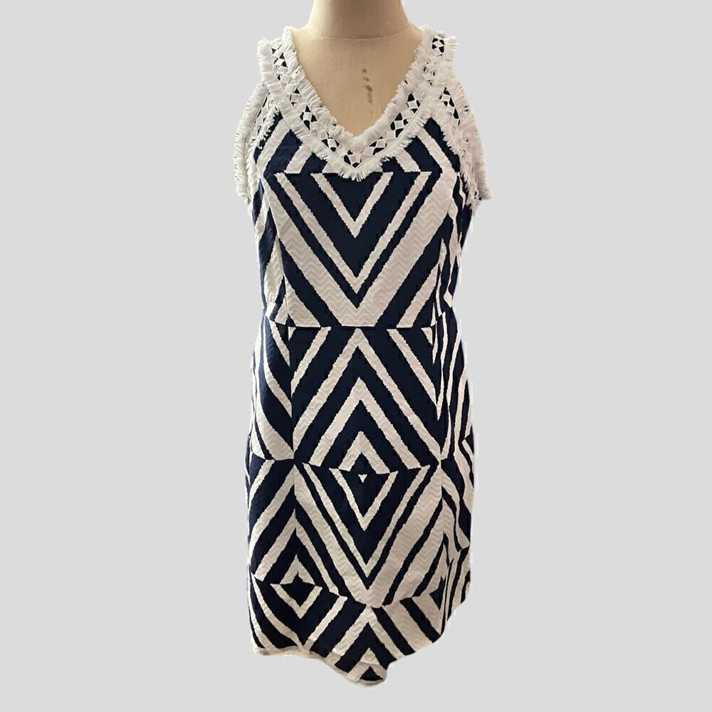 Taylor Fully Lined Fringe Dress / SZ: 8